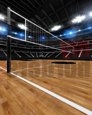 Vanderbilt Commodores Women's Volleyball vs. Lipscomb Bisons